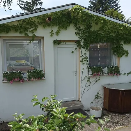 Luksustelt Garden Greenhouse